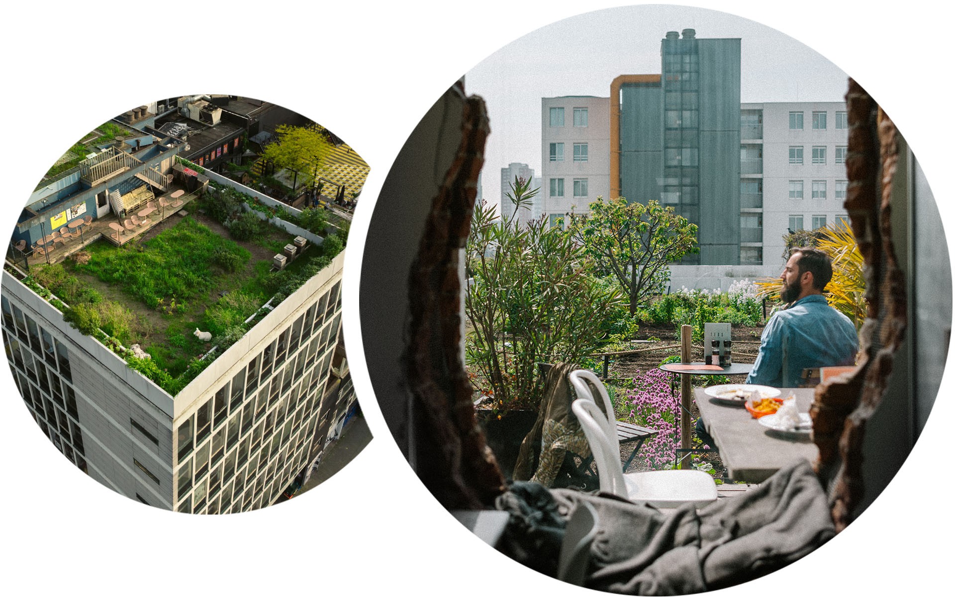 Overhead view of the DakAkker Rooftop Café, an open-air roof farm located at the top of the Shieblock in Rotterdam. Uros Višekruna is pictured sat at a table in the DakAkker Rooftop Café, surrounded by plants with a view of Rotterdam’s skyline.
